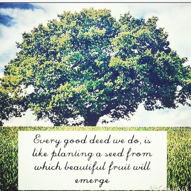 Shavuah Tov Wishing Everyone A Blessed And Fruitful Week Tonight Is